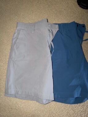 Fabletics Men's Shorts - Lot of 2
